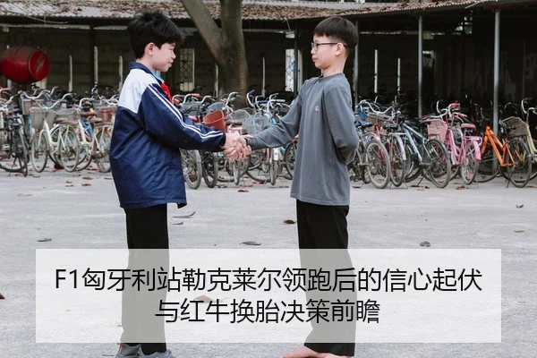 xiong-ya-li-zhan-lei-ke-lai-er-ling-pao-hou-de-xin-xin-qi-fu-yu-hong-niu-huan-tai-jue-ce-qian-zhan-2-965.jpg